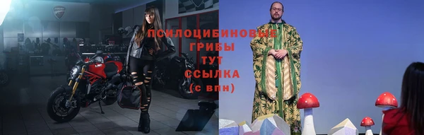 бутират Кукмор