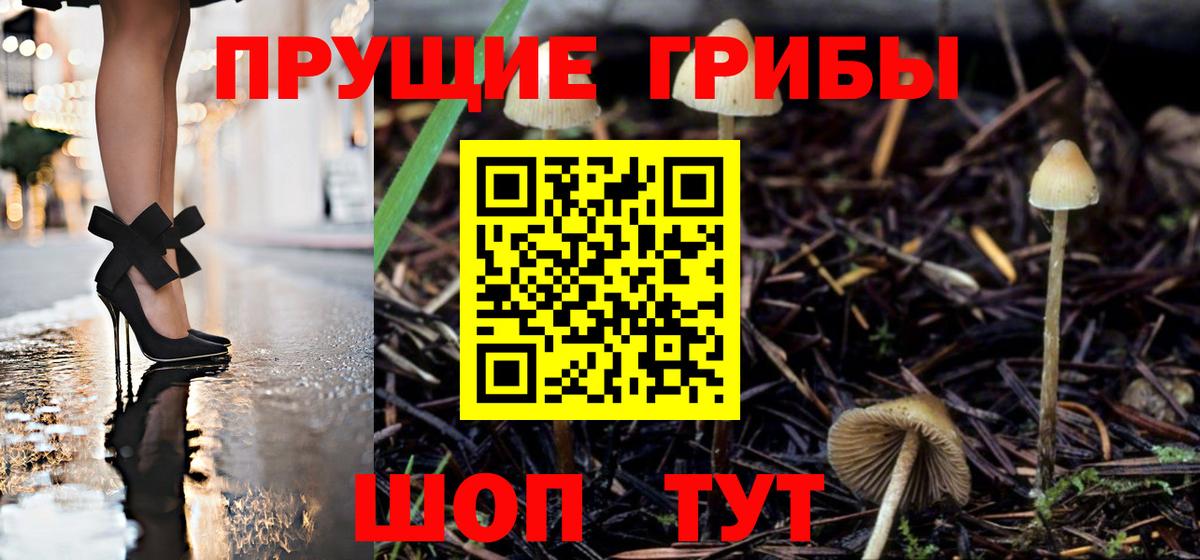 A-PVP СК   Лсд 25  ГАШ  Сатка  Купить наркотики цена  ГАШ  COCAIN  Мефедрон   Меф  